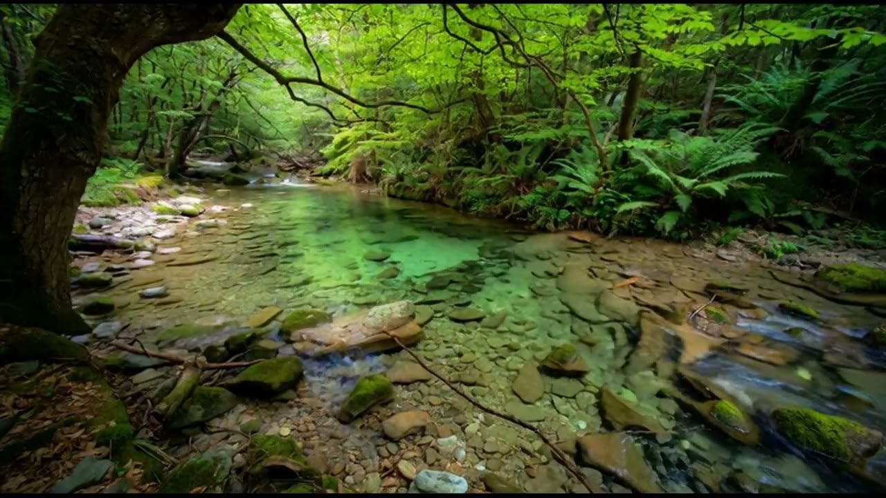 8 HOURS of Deep RELIEF Music​MELTS Stress & Anxiety Away (Ultimate Alpha Waves) FINALLY, Peace.36