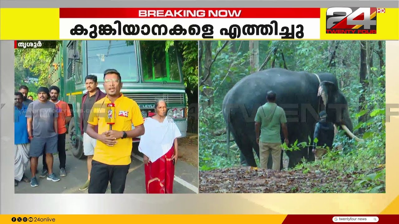 തൃശൂർ കുതിരാനിൽ ജനവാസമേഖലയിൽ ഇറങ്ങിയ ഒറ്റയാനെ കാട് കയറ്റാൻ കുങ്കിയാനകളെത്തി