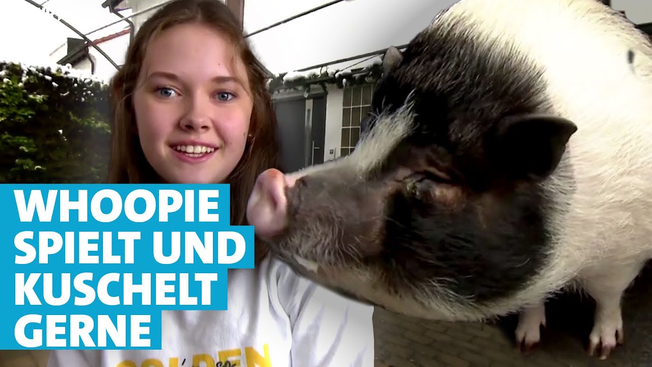 Familie Eckert und ihr Hausschwein Whoopie