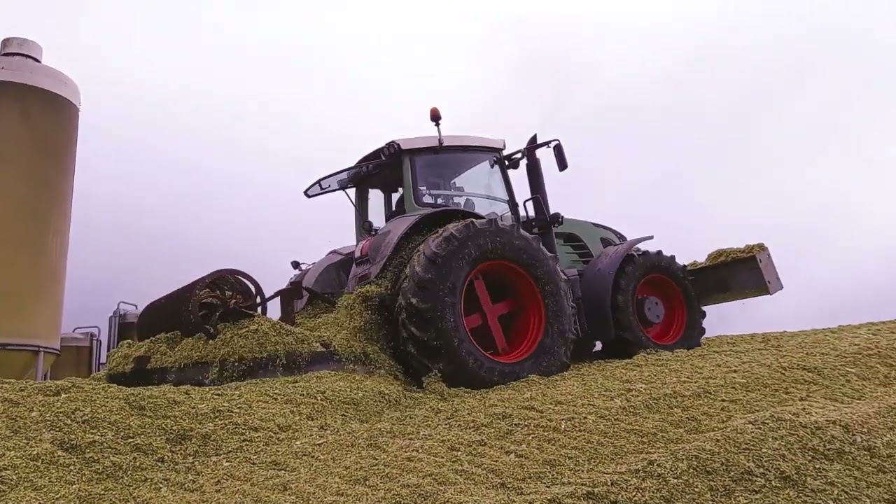 maishakselen 2022 akkerbouwbedrijf steggink