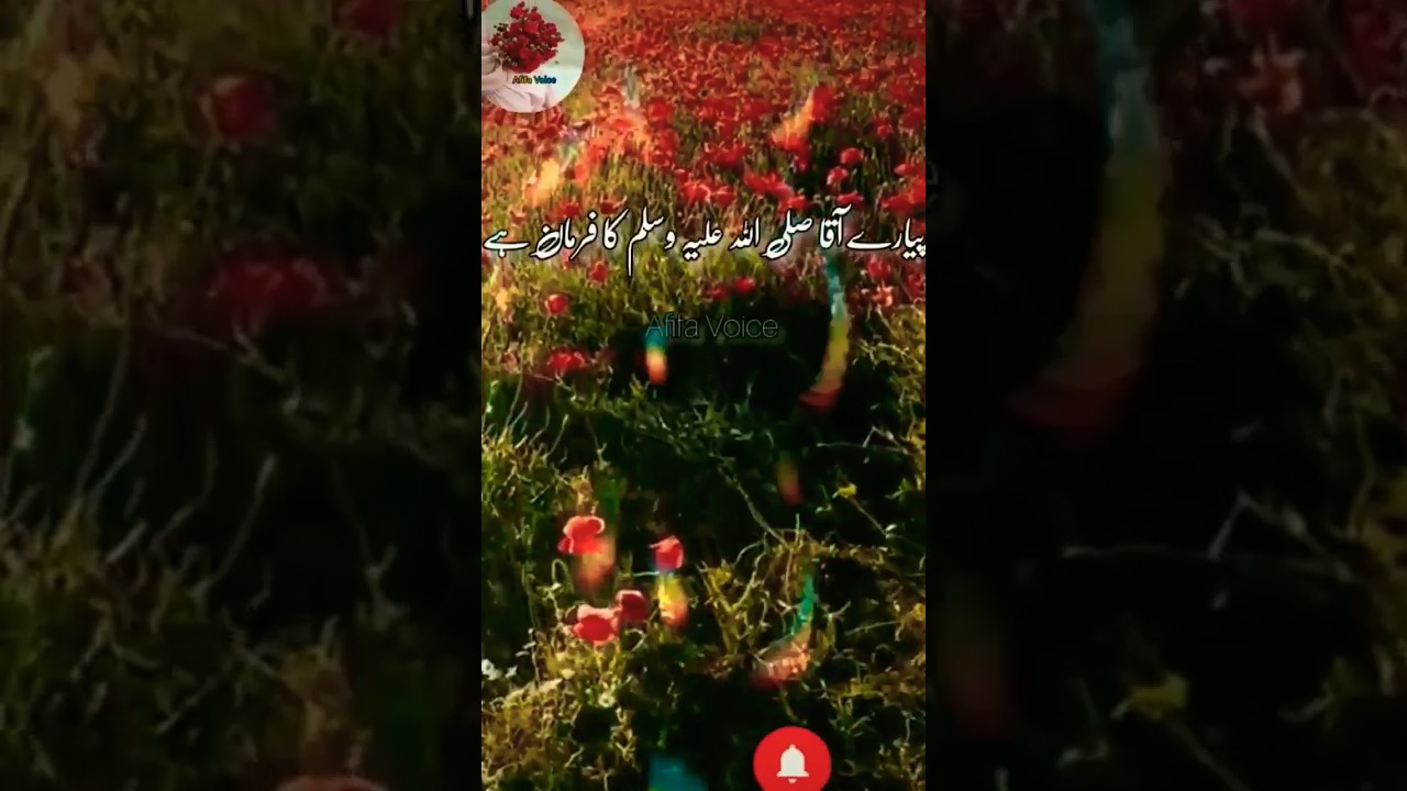 Ramzan Ka Dusra Jumma Mubarak Ho..Afifa Voice.