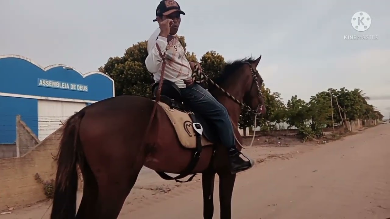 Quinho manu e zequinha vaqueiro andando a cavalo