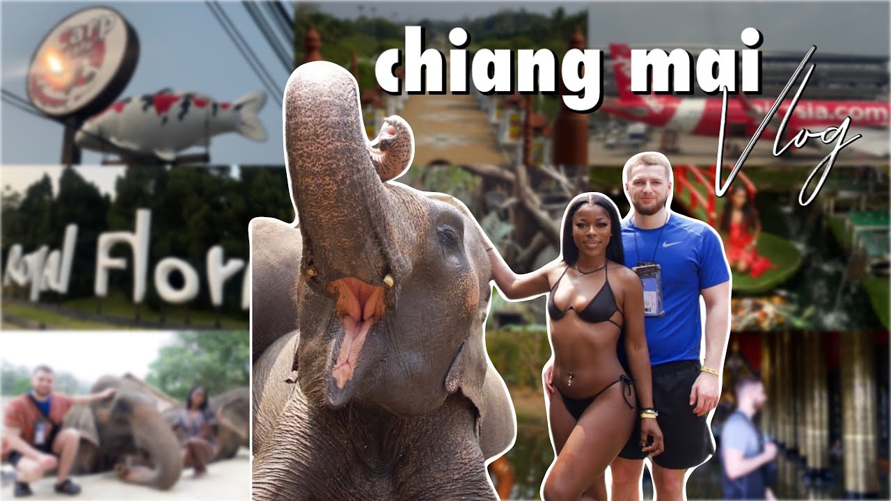 Chaing mai vlog| Carp cafe, Royal Park Rajapruek, Elephant sanctuary