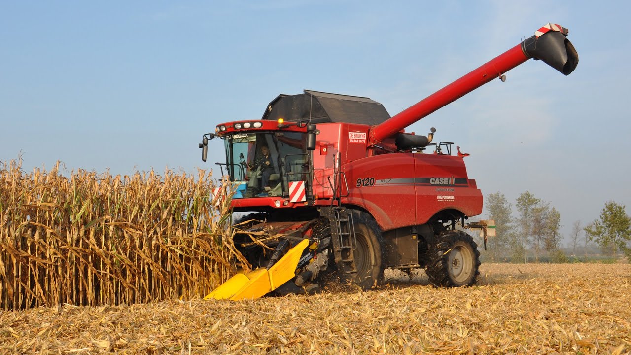 Case IH 9120 Axial Flow - Loonw. De Bruyne - mais dorsen 2014