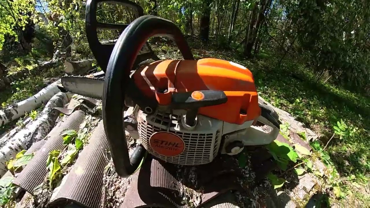 Рабочий день арбористов. Наступила весна🌱