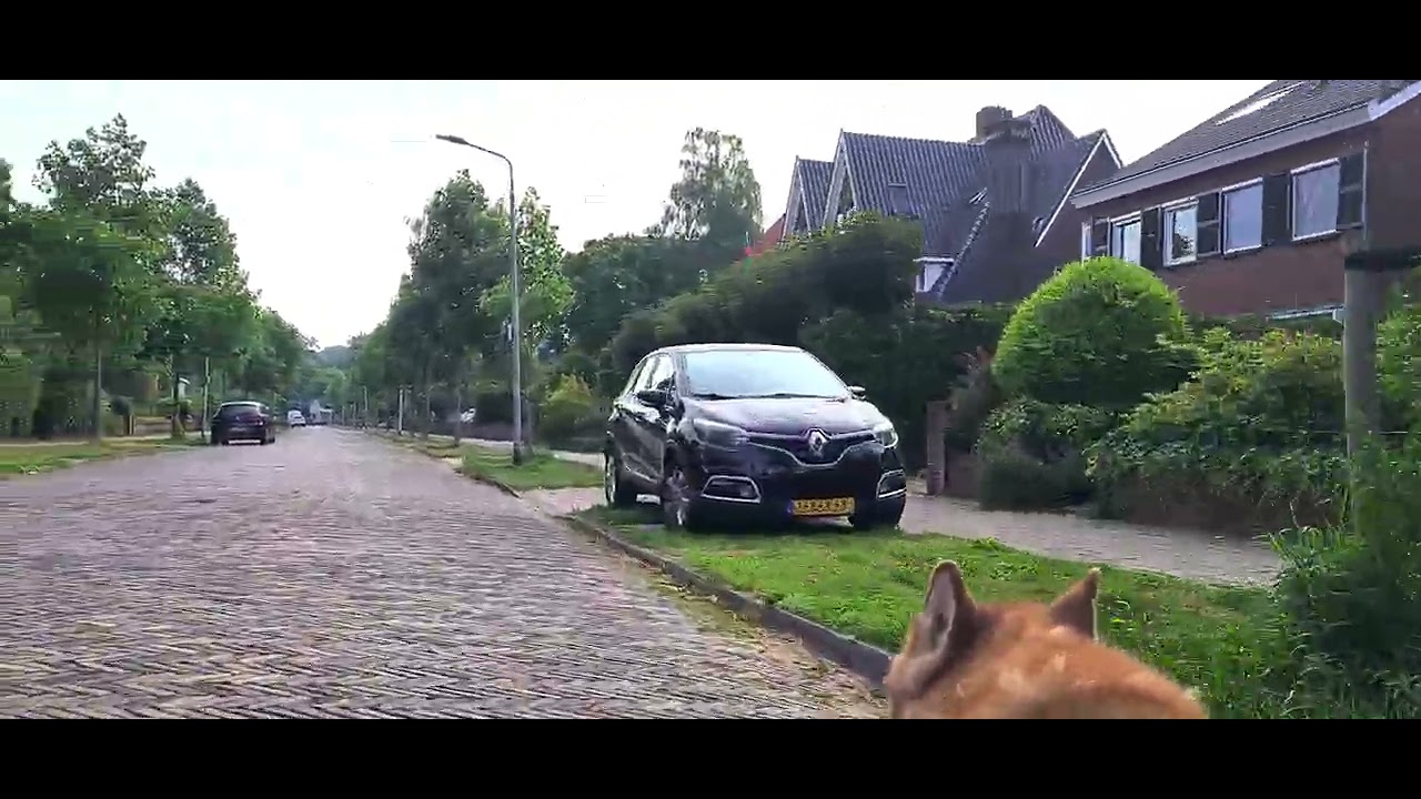 Camée adventure tour 1