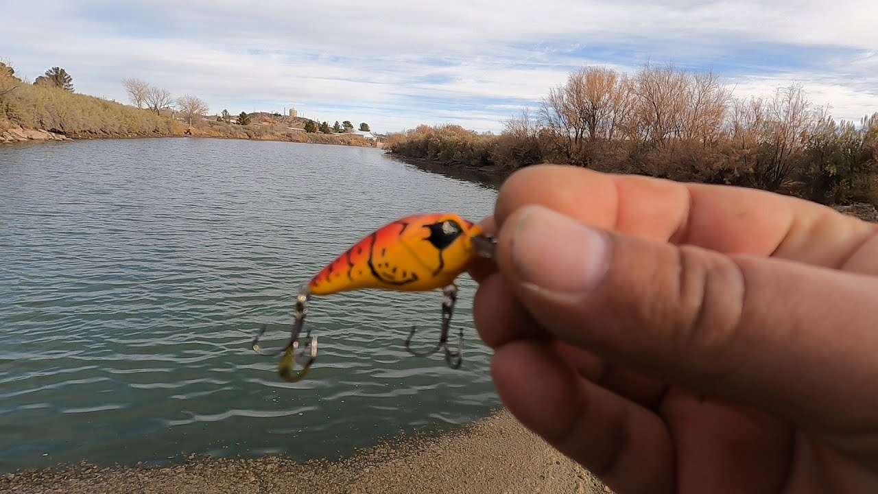 Trout Fishing with a Micro Crankbait (Easy Limit)