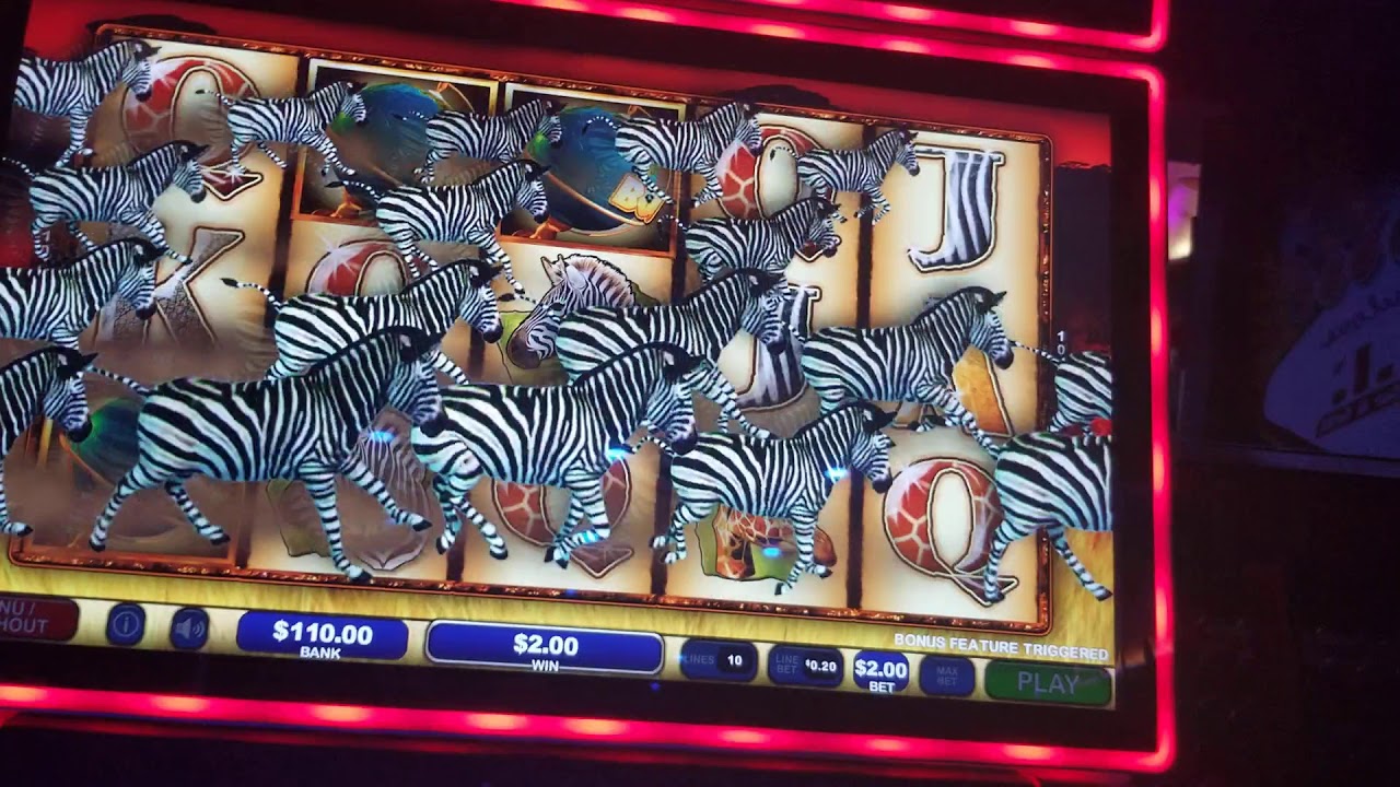 Another WILD LIFE EXTREME bonus..AMAZING!