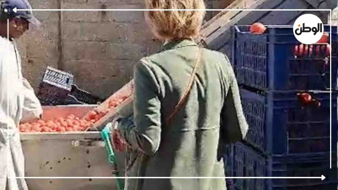 التنمية على أرض الأقصر.. سفيرة الاتحاد الأوروبي تشيد بمشروعات تجفيف الطماطم