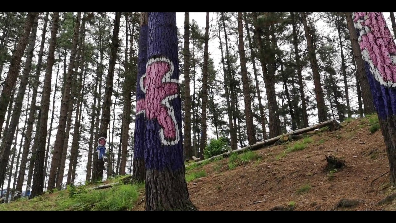 Bosque de Oma, el Bosque pintado.