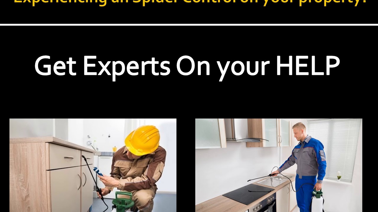 Coppell Pest Control Pros | Spider Control Service in Coppell TX