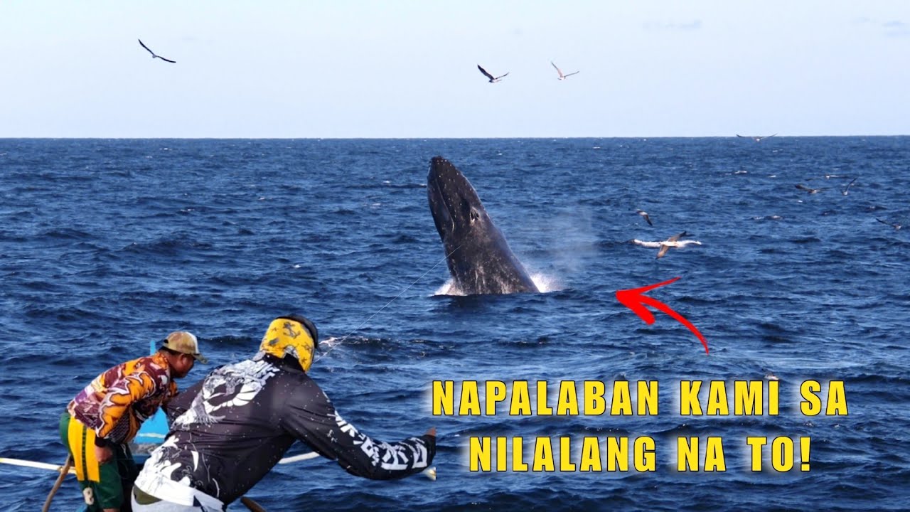 GRABE NAPALABAN KAMI SA NILALANG NA TO! SUNOD SUNOD ANG DAWI