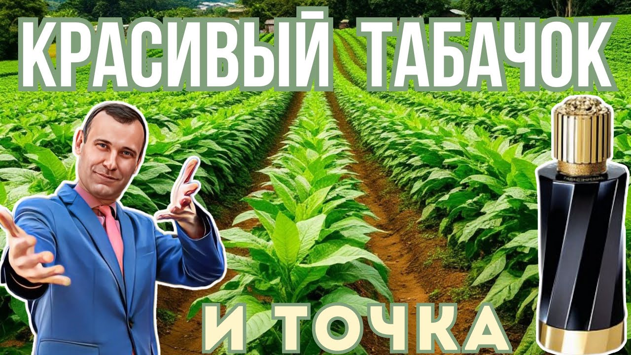 Такого красавчика Versace Tabac Imperial грех не поносить😎