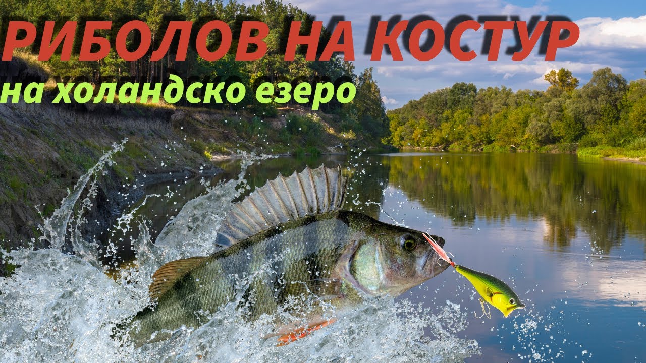 РИБОЛОВ НА КОСТУР И ЕДНА БОНУС РИБА ИЗ ХОЛАНДСКИТЕ ВОДОЕМИ