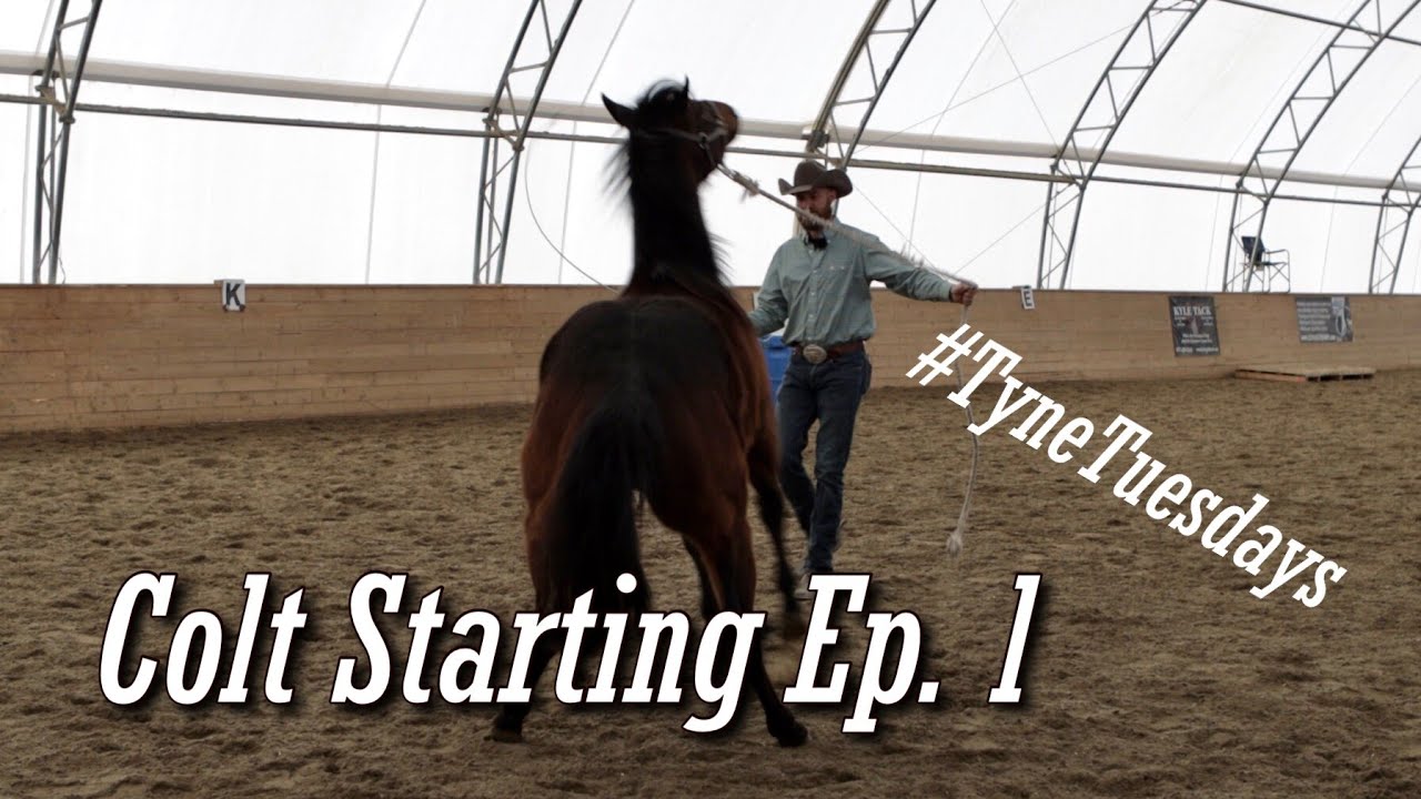 Colt Starting Episode 01