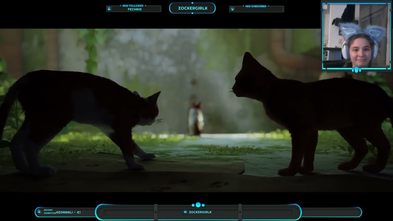 Stray folge 1 Streamaufzeichnung