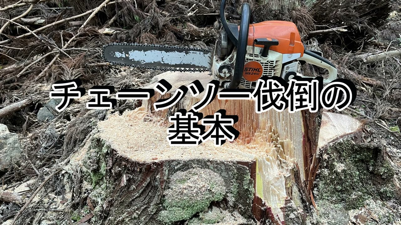 チェーンソー伐倒の基本
