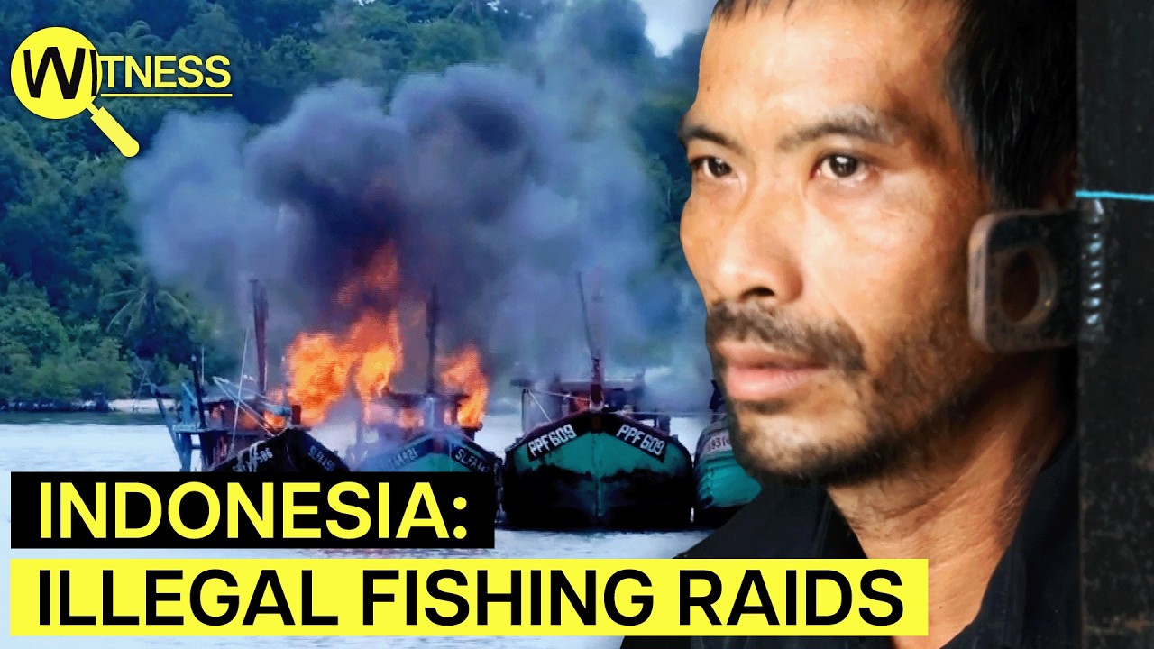 Sink the Ships: Indonesia’s Radical War on Illegal Fishing