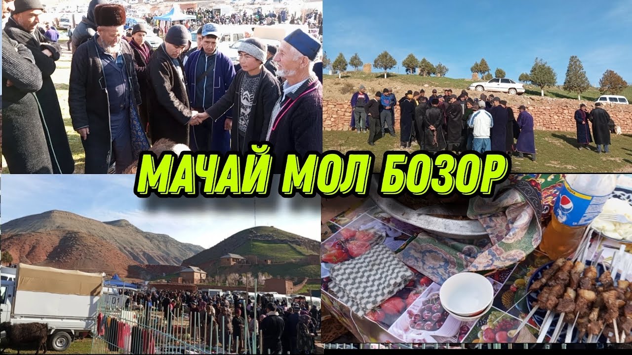 БОЙСУН МАЧАЙ МОЛ БОЗОРИ