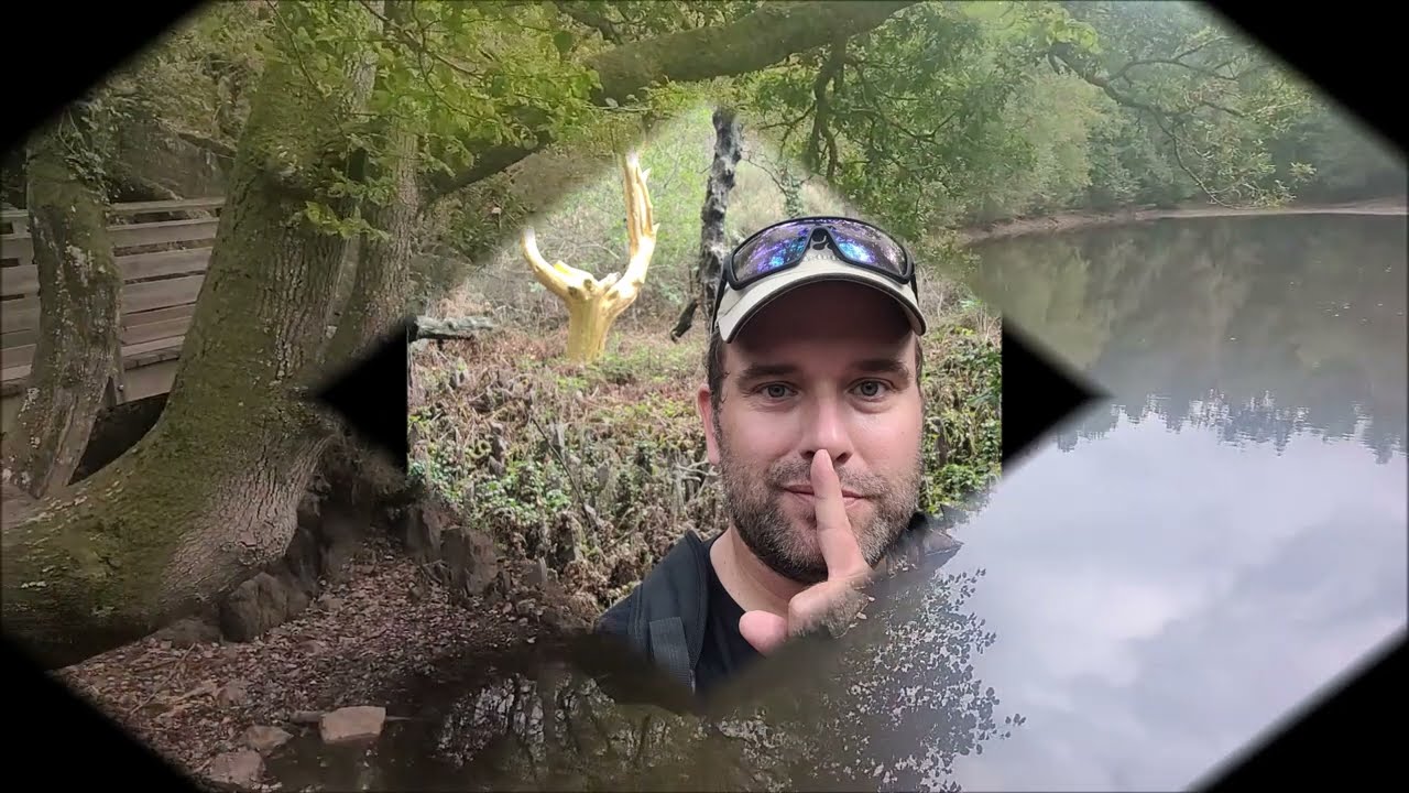 Broceliande L'arbre d'OR 🤫🤠🐺!Balade au Val sans Retour!