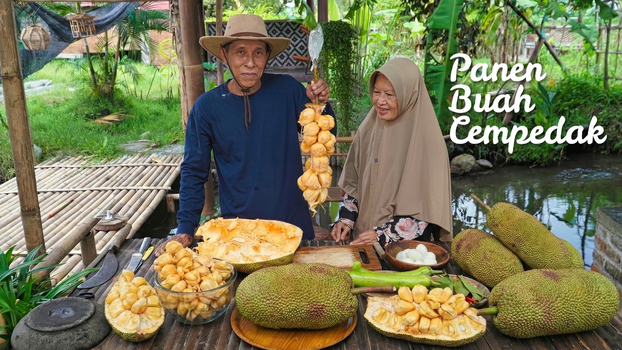 Memetik Cempedak di Kebun | Bikin Es Cempedak Kelapa Muda, Lontong Sayur, Gembus, dan Pentol Kriwil