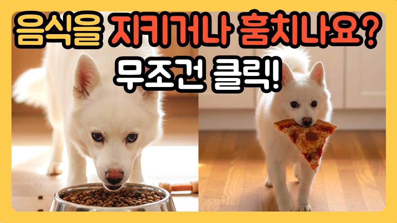반려견이 음식 앞에서 돌변하는 진짜 이유(먹는 것을 좋아해서가 아닙니다)ㅣ 식사 예절[강아지교육 강아지훈련 퍼피교육 진도믹스 korean jindo jindo mix]