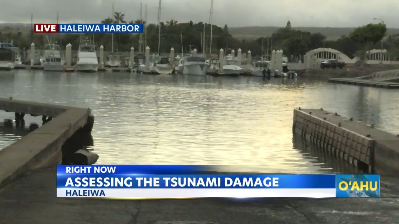 Assessing tsunami damage at Haleiwa Harbor Pt.1