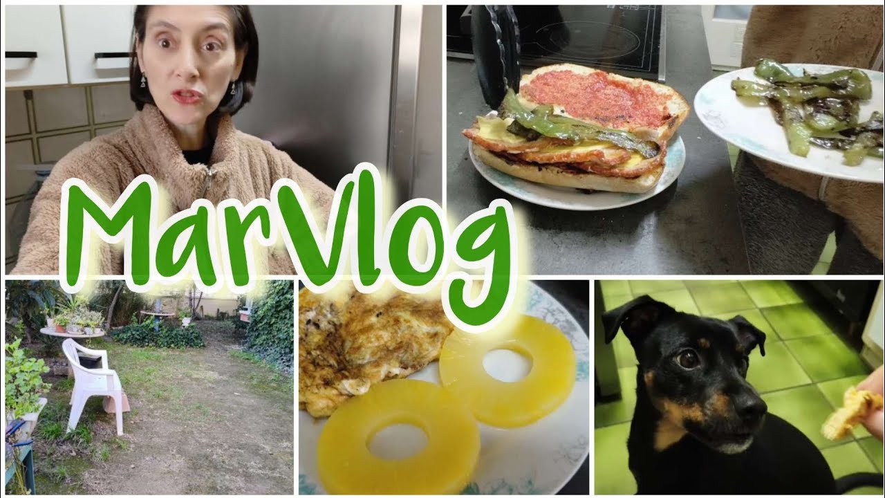No se hacer las cosas sentada 😜 + Pepito de Ternera 👩‍🍳 + Un zorro y un elefante 
