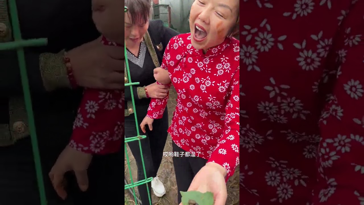 Laugh Out Loud: Don't Miss the Hilarious Second Half of Our Country Life Series! Comedy Ru