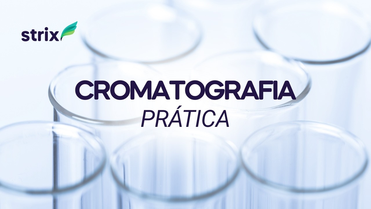 Cromatografia - Prática