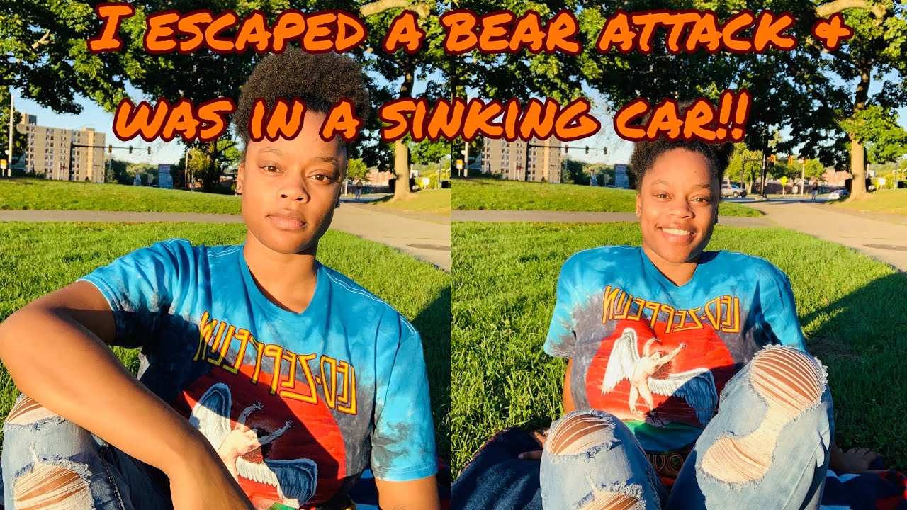 STORYTIME: Dream Journal- I escaped a bear & took a ride in a sinking car!!