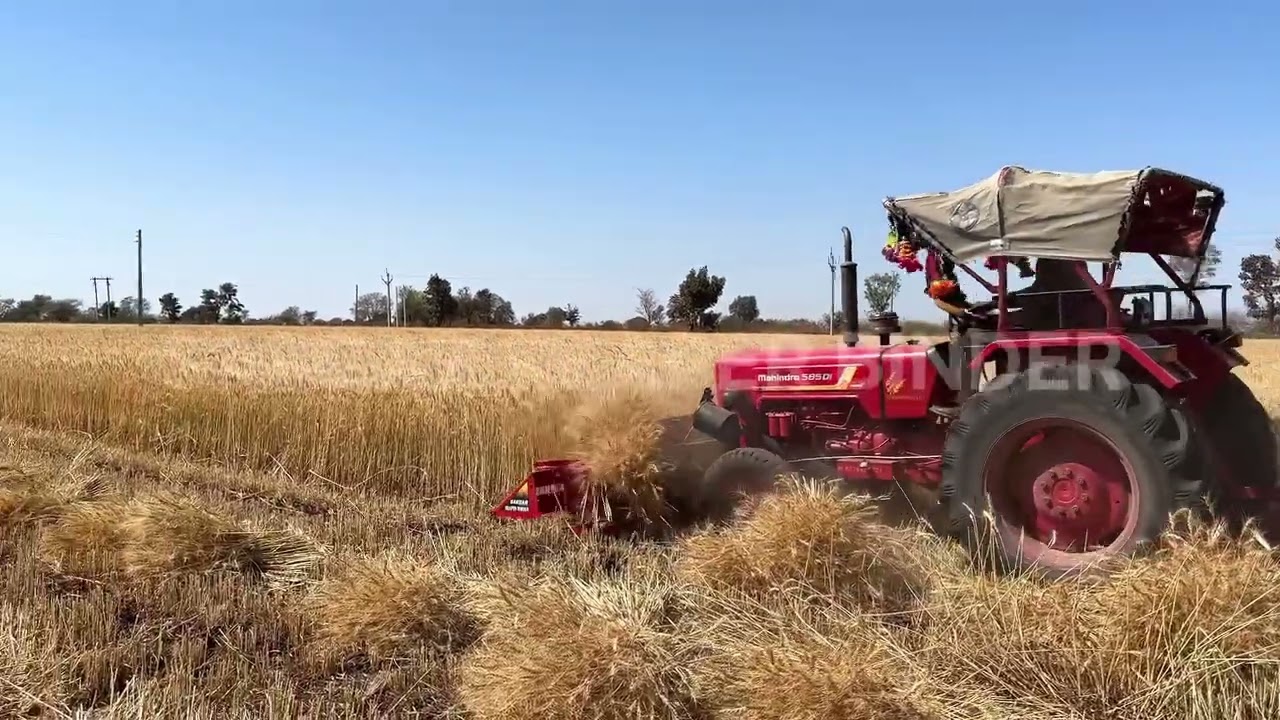 Tractor mounted reaper  binder wheat mustard harvesting make in india 🇮🇳9463017000 #reaperbinder 
