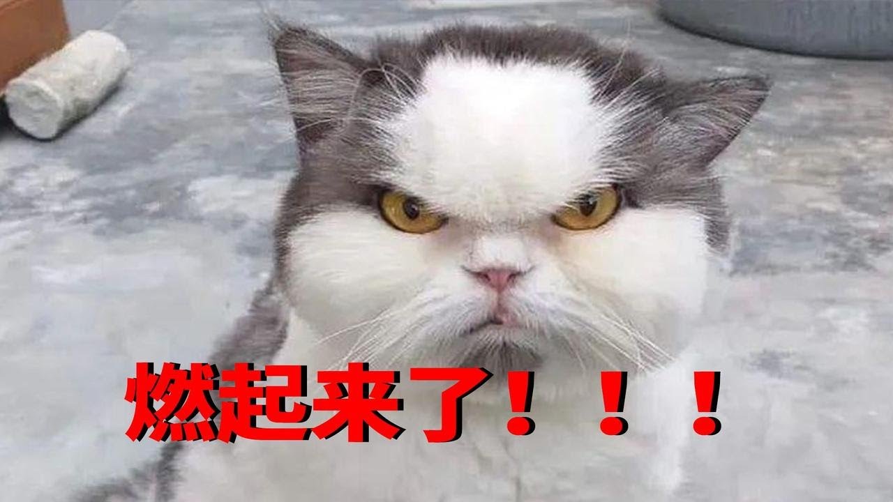 比 博 燃 ！