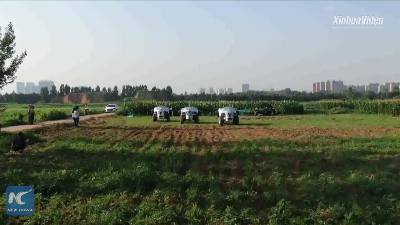 China's self-driving 