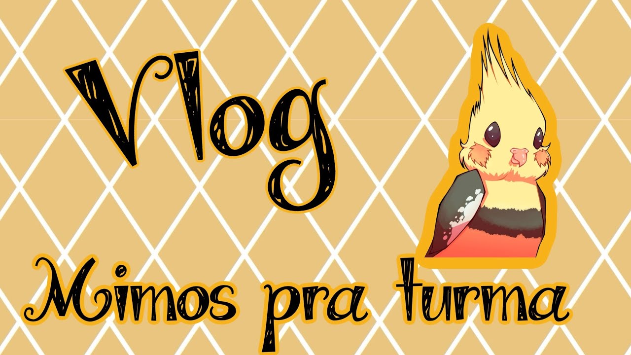 Vlog - Mostrando comprinhas 🛒