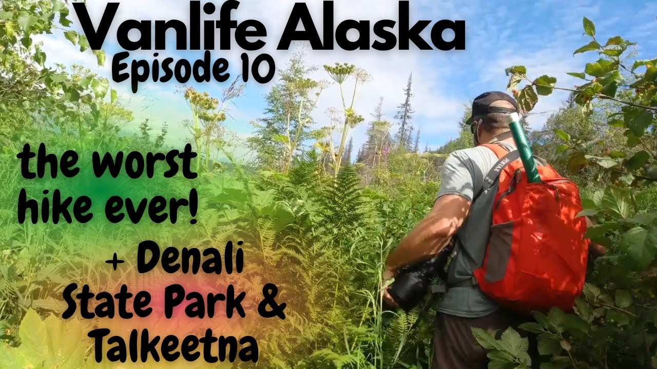 Things to do in Denali State Park, Shopping in Talkeetna, the Denali Brewery & Gold Panning!
