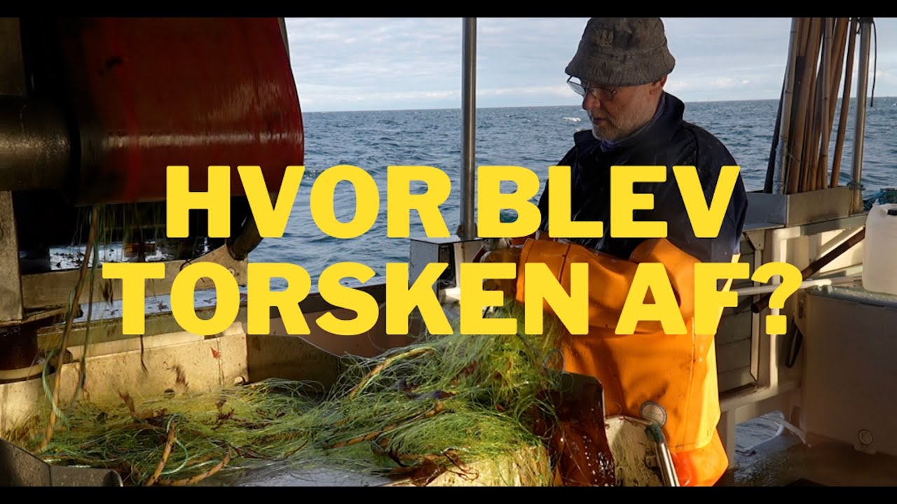 Kan fiskeriet bestå, hvis alle fiskene forsvinder? Gruppe 5, feature