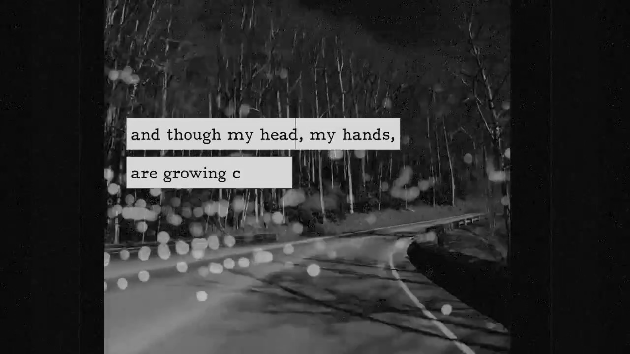 The Veils The Leavers Dance Lyric Video