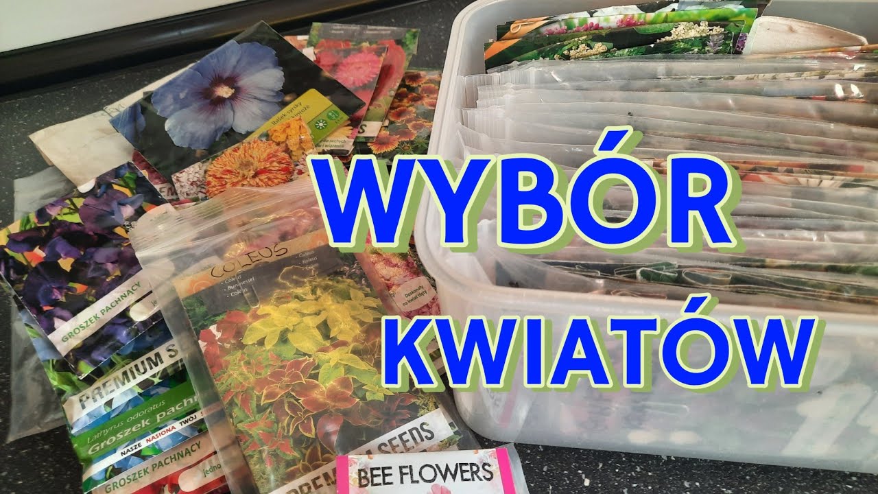 NASIONA KWIATÓW 🌱CO WYBRAĆ  CIĘŻKI WYBÓR KWIATÓW. 