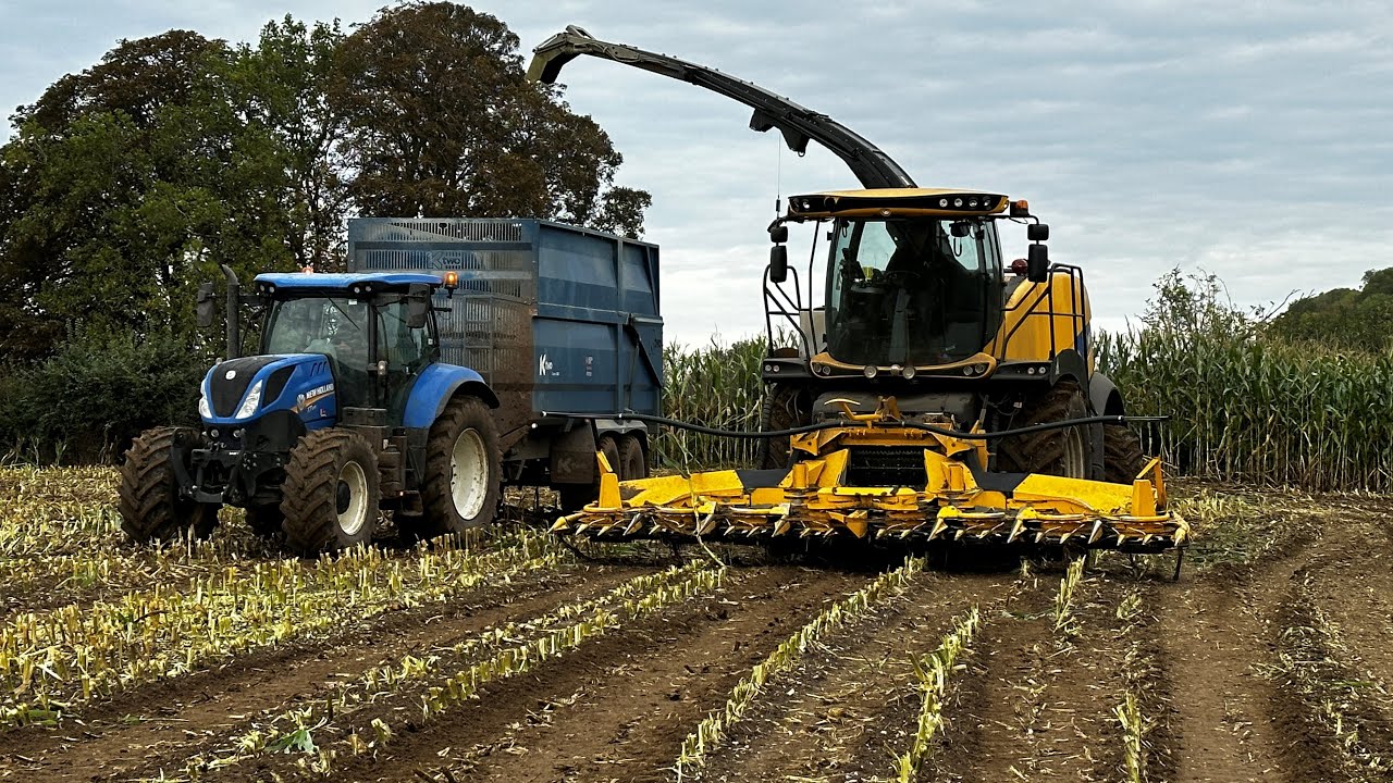 Maize2023 Harvest-Pither Agriculture-Part 2-New Holland T7.250