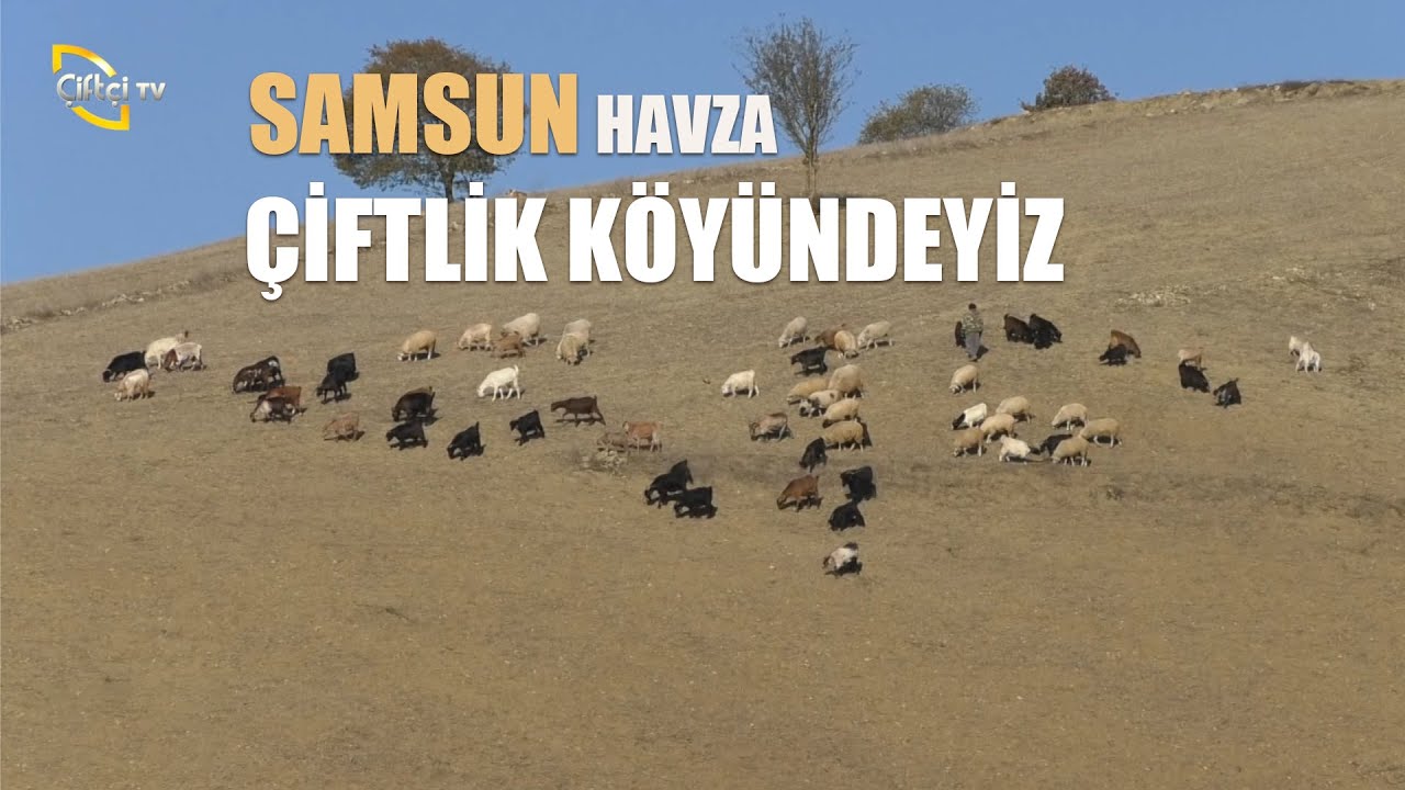Samsun Havza Çiftlik Köyündeyiz - Bizim Köy