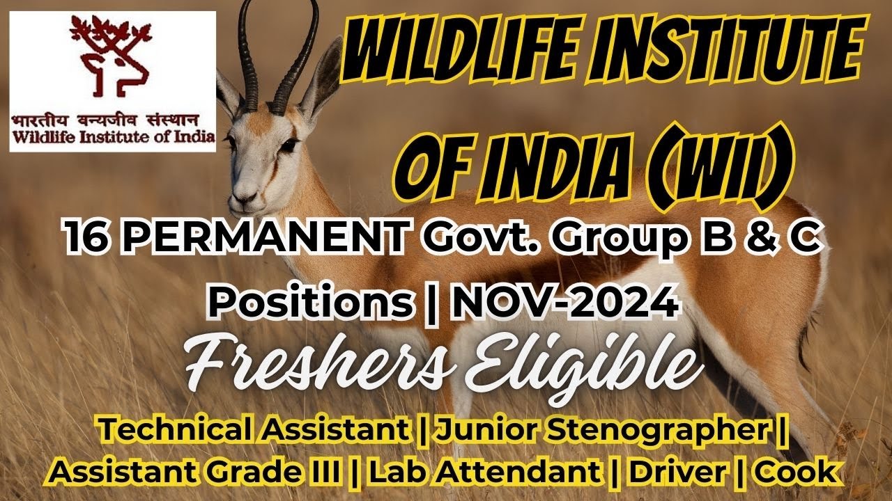 Wildlife Institute of India Recruitment 2024| 16 Permanent Group B & C Positions | Freshers Eligible