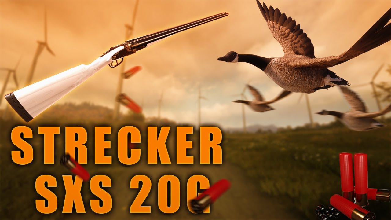 🔴CAÇANDO GANSOS COM A STRECKER SXS 20G - THE HUNTER CALL OF THE WILD BRASIL