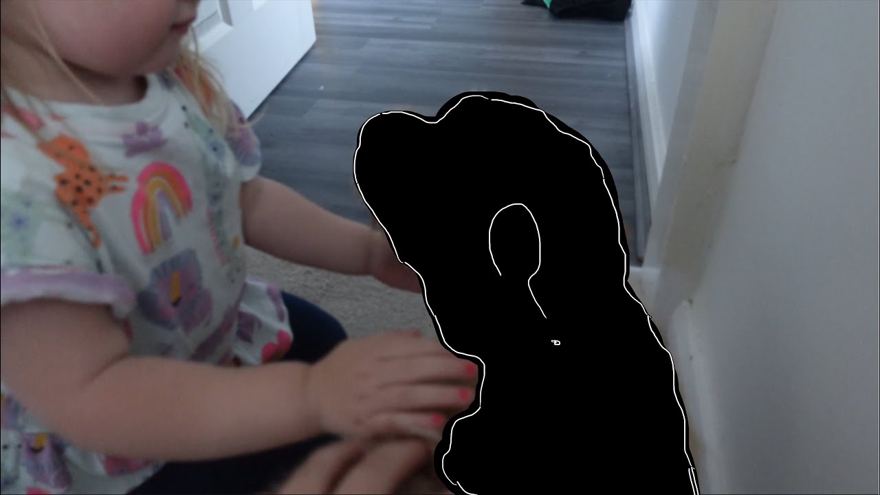 We got a dog!! Dog reveal