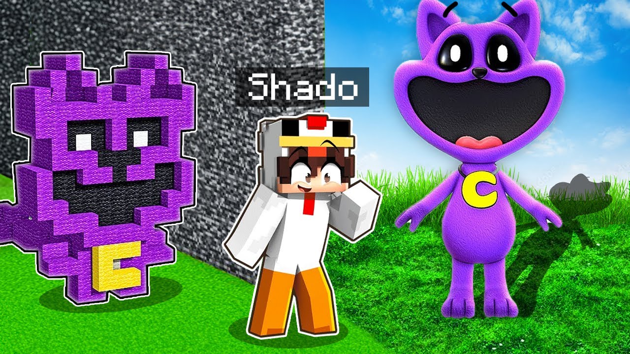J'ai Triché avec le //RÉALISME en Build Battle sur Minecraft !