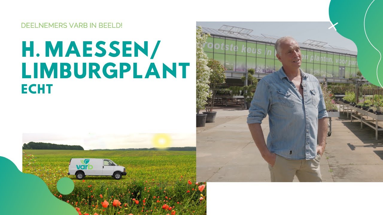 Boomkwekerij & Plantencentrum H. Maessen / Limburgplant - Varb komt naar je toe deze zomer