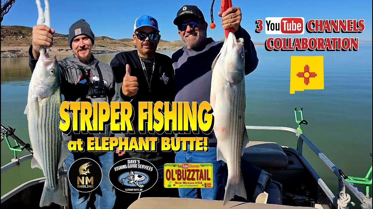 STRIPER FISHING 2026 @davesfishingguideservices5018 @nmangling
