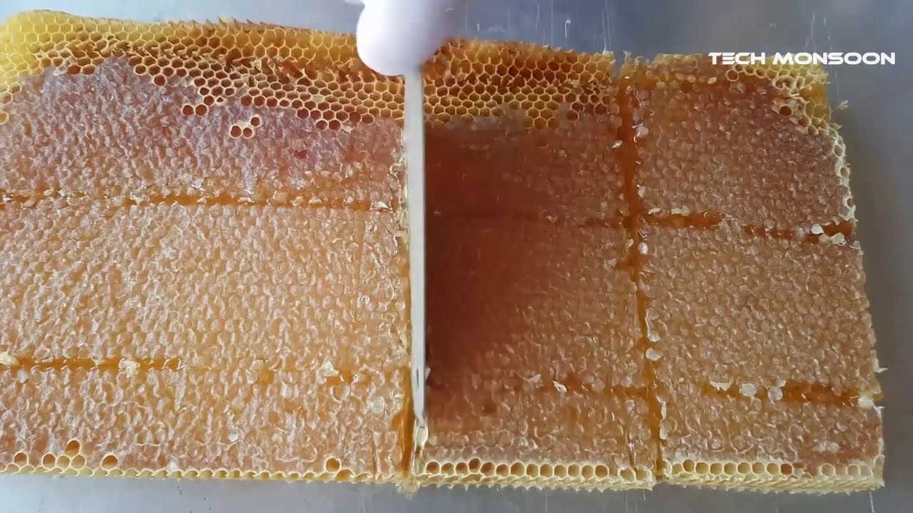 Modern Honey Harvesting and Extraction Technology | Honey Processing