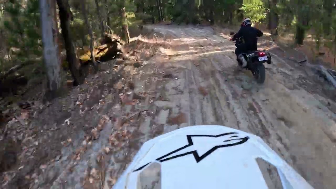 890 vs 450 #ktm #aussiebush #australia #riding #ktm890adventurer #ktm450 