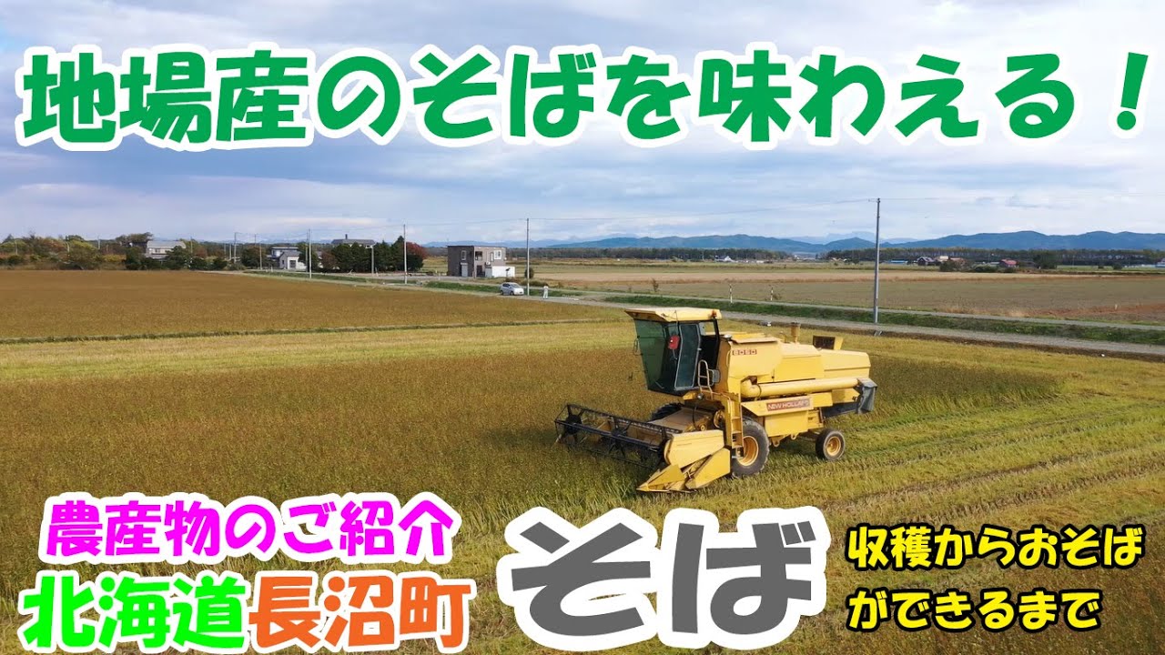 長沼町の農産物のご紹介～そば～